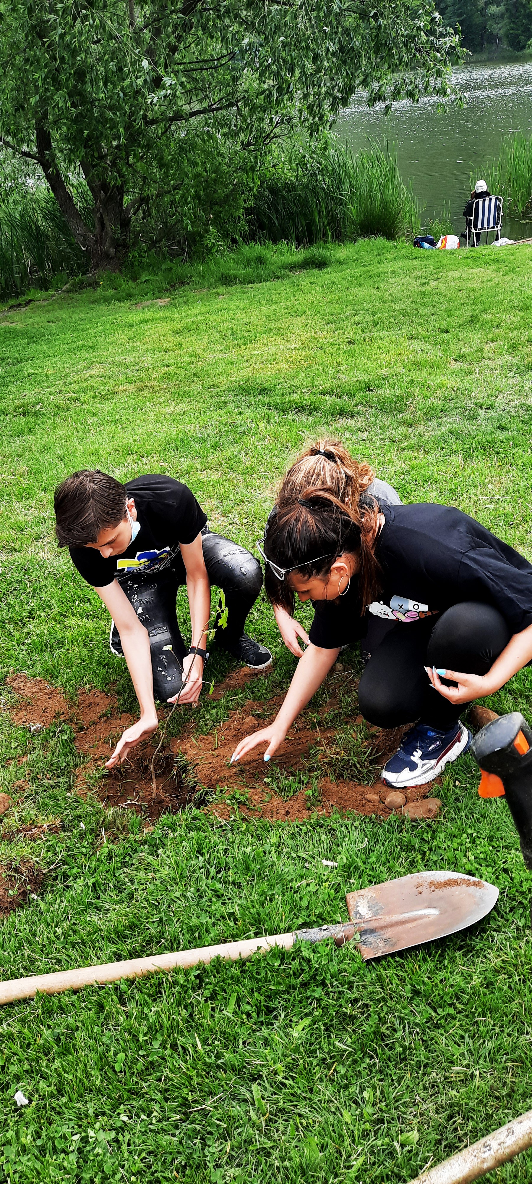 pancharevo-planting-6-jpg