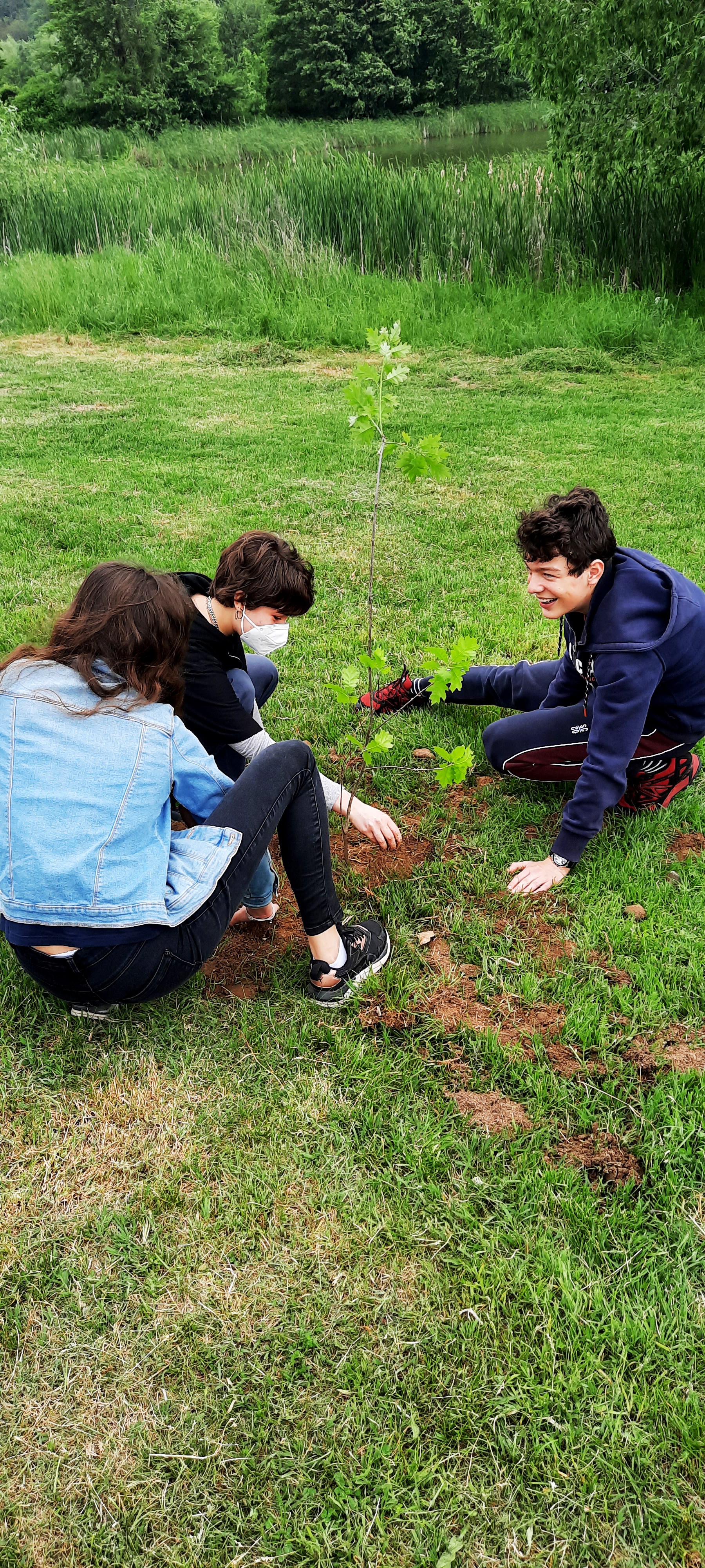 pancharevo-planting-10-jpg