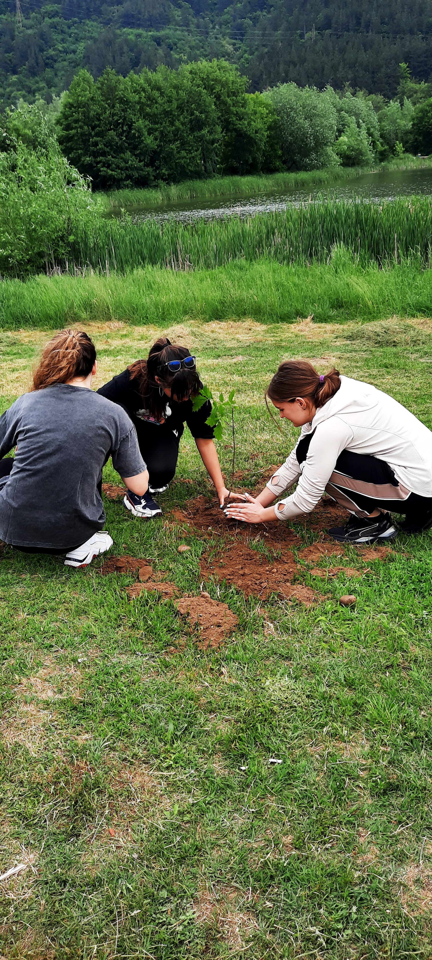 pancharevo-planting-11-jpg