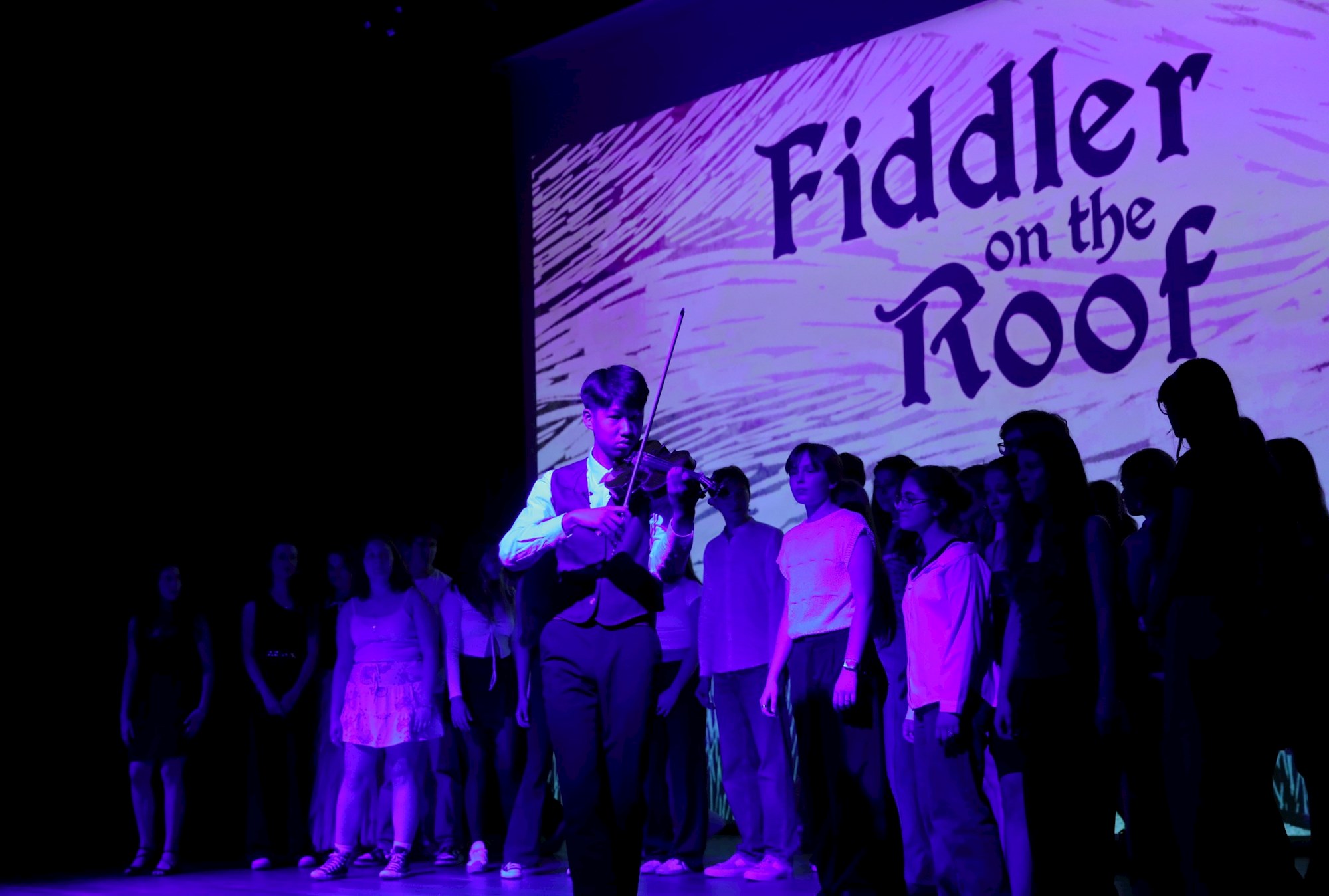fiddler-image