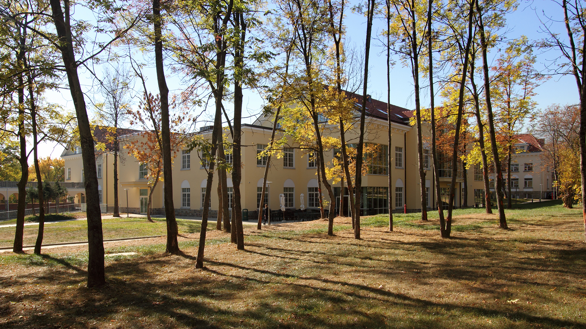 Campus Center Park Trees.jpg